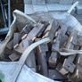 free timber Image 2