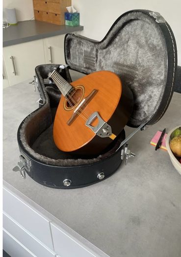 Paul Hathway Handmade  Mandolin