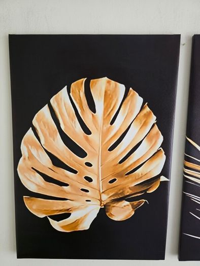 3 framed printed canvas 45x65cm