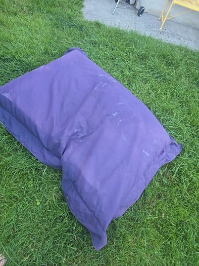 free bean bag