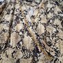 Animal print M&S dress Size 12 Image 6