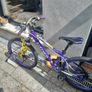 Carrera Luna Junior Mountain Bike Image 4
