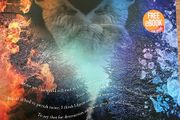 fire and ice english book