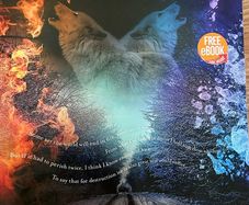 fire and ice english book