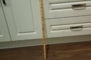 Walking stick