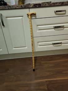 Walking stick