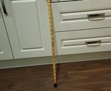 Walking stick