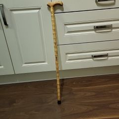 Walking stick