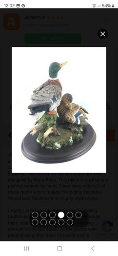 Restful days mallards amazing piece