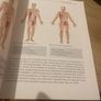 Muscle Energy Techniques: A Practical Guide for Physical Therapists Image 4