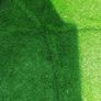 Astro turf Image 4