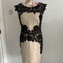 dress occasion brand comma size 12 beige with black lace Image 3