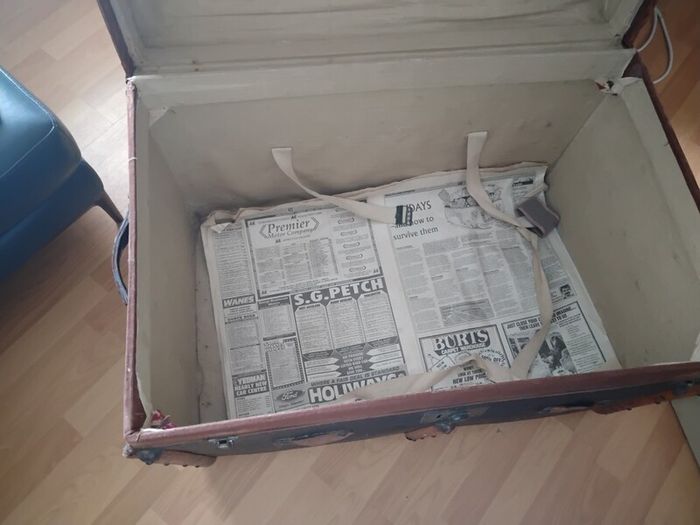 travel trunk