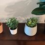9 fake plants Image 3