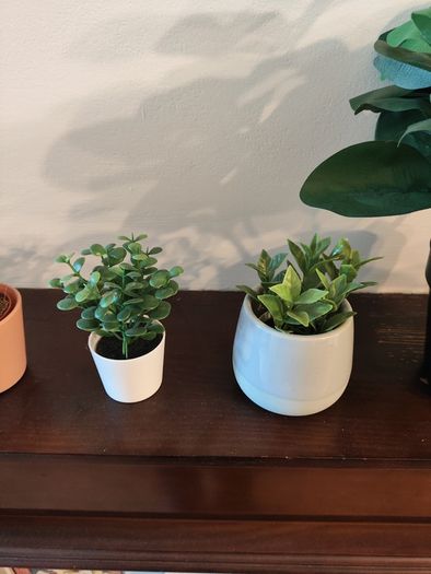 9 fake plants