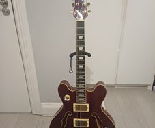 Electric Guitar