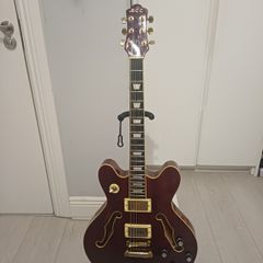 Electric Guitar