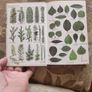 Trees  A Field Guide To The Trees Of Britain And Northern Europe   By Alan Mitchell. Hardback In Good Condition. Image 9