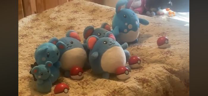Pokemon Generation Plush Collection