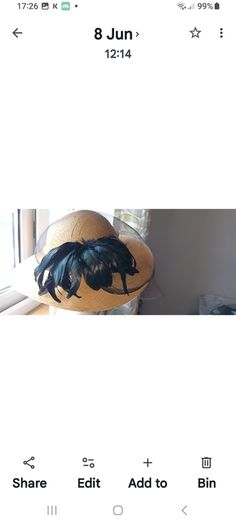 hats