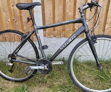 Trek fx ( serviced )( delivery )