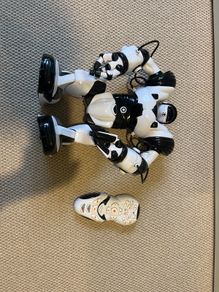 robosapion
