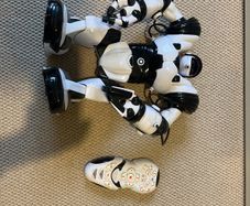 robosapion
