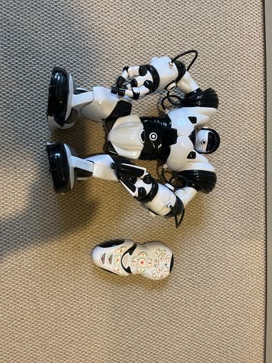robosapion