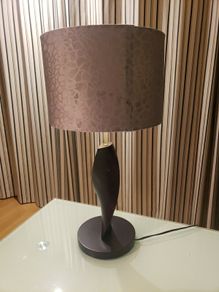 Table lamp and shade
