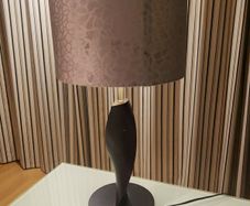 Table lamp and shade