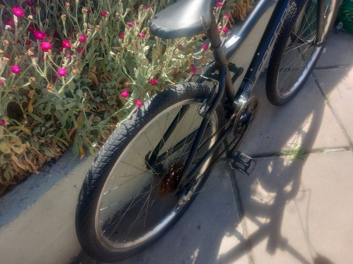 mountain bike