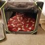 Portable crate/kennel - large Image 2