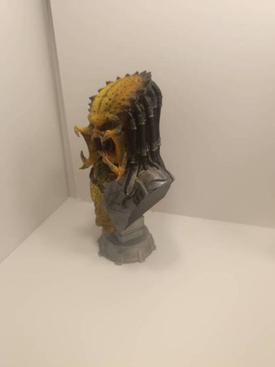 Predator Bust