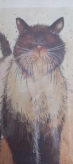 Alex Clarkes Coco Cat Print