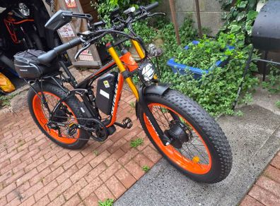 fat tyre e bike