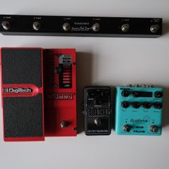 Guitar Effects (Whammy, Delay, Switcher, Noise Gate)