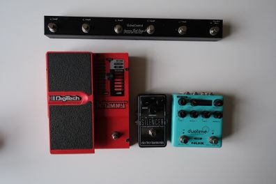 Guitar Effects (Whammy, Delay, Switcher, Noise Gate)