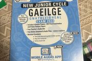 Gaeilge exam papers