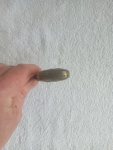 Brass motoring vesta case