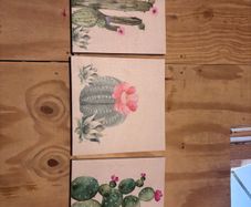 3 piece cactus canvas set