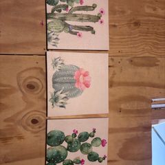 3 piece cactus canvas set