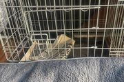Pet cadge