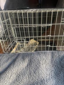 Pet cadge