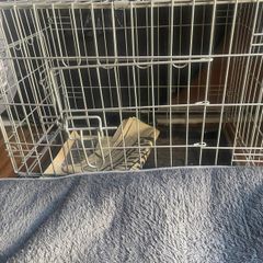 Pet cadge