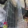 Crate,cage,pets,dogs Image 4