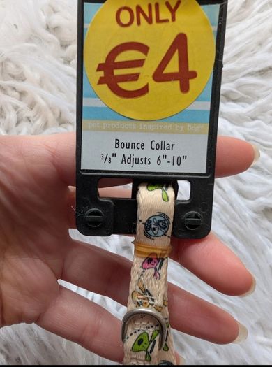 Small dog collar. New.
