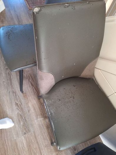 Leather Dining Chairs