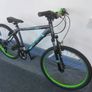 Leopard Bike Image 2