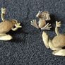 3 brass frogs,. Solid brass. Image 2