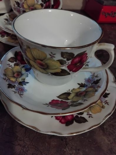 21piece Vintage Arklow China Tea Set